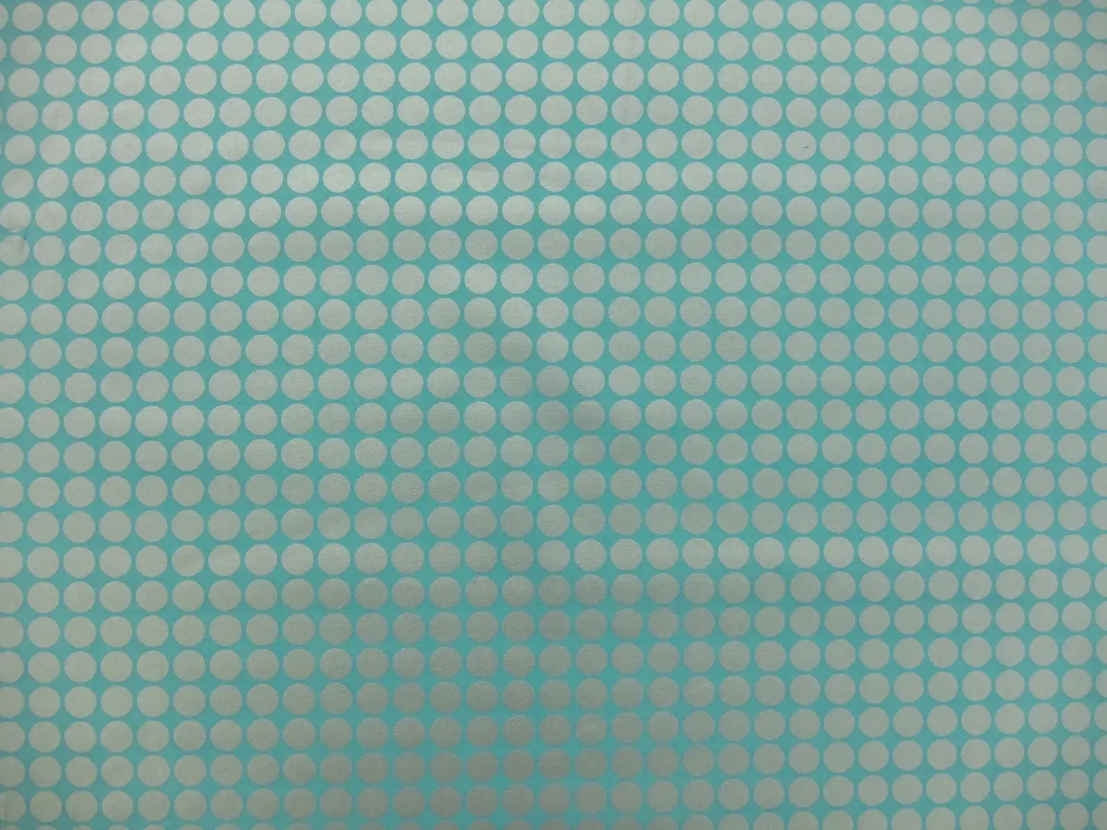 Cotton Broadcloth Print