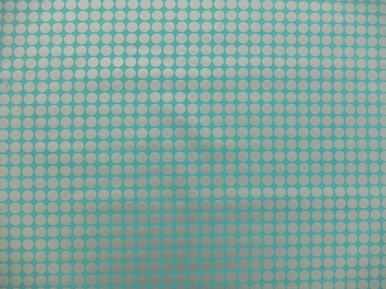 Cotton Broadcloth Print0