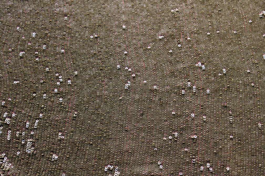 Sequins on Silk Chiffon0