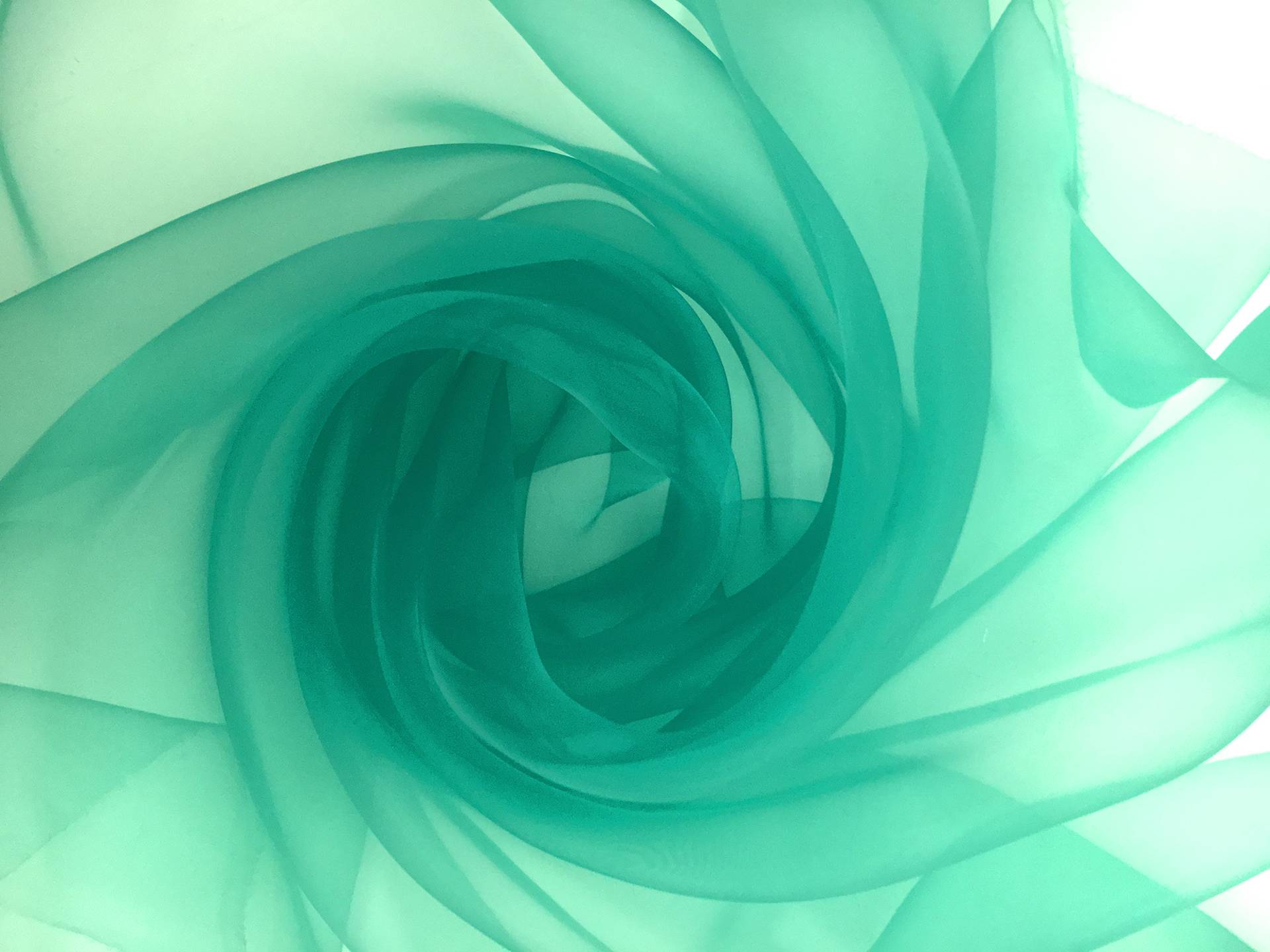 Polyester Onion Skin Organza0