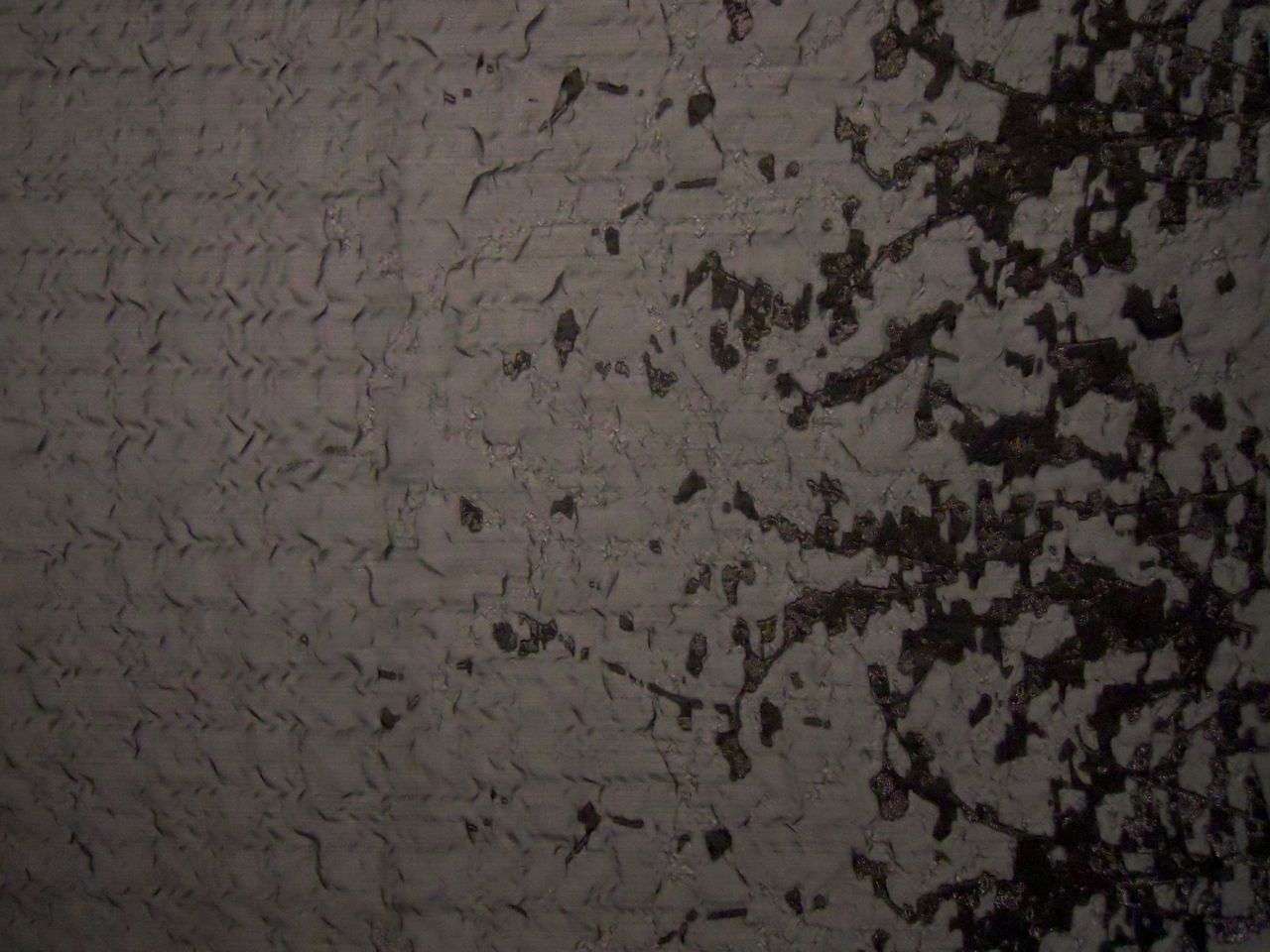Metallic Silk Blend Lamé Organza Cloqué Panel0