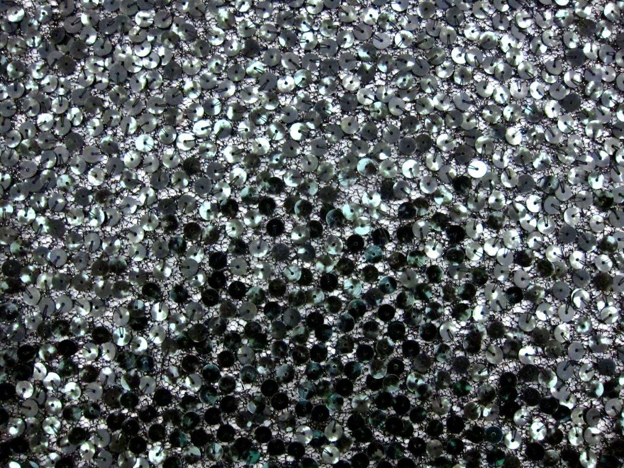Sequins on Metallic Tulle0