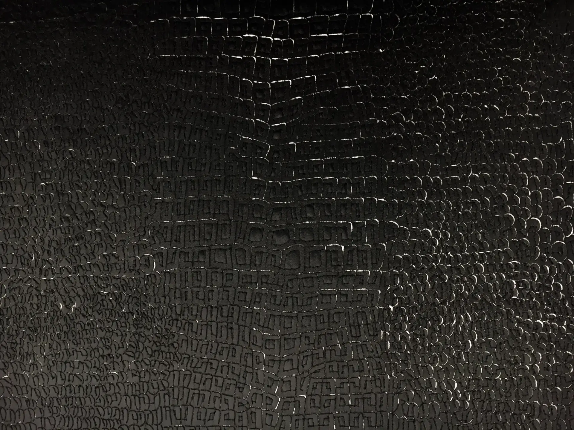 Embroidered Pleather on Tulle2