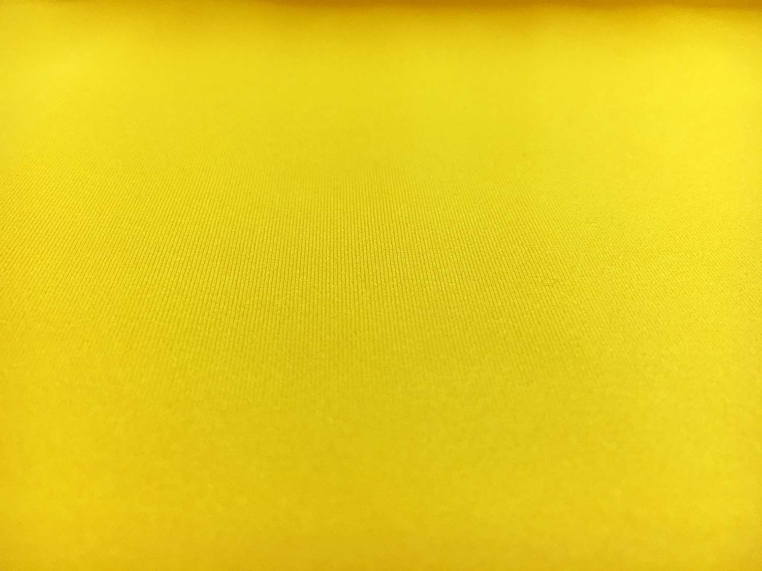 Spandex in Dandelion