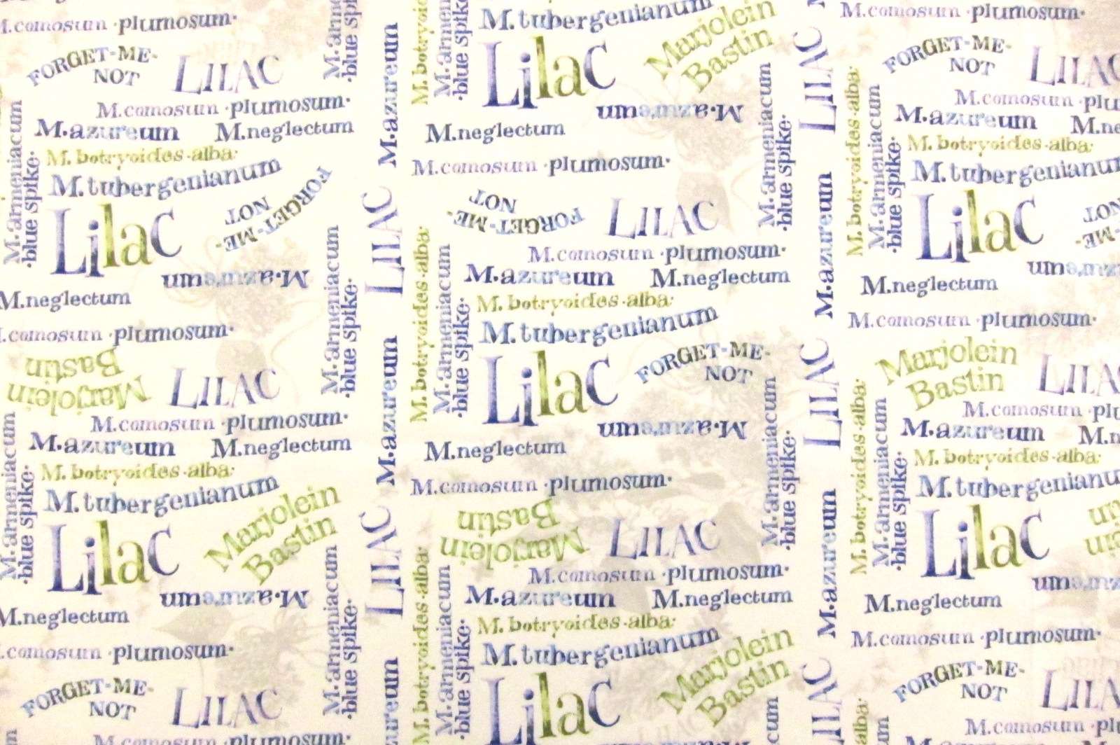 Cotton Broadcloth Print0