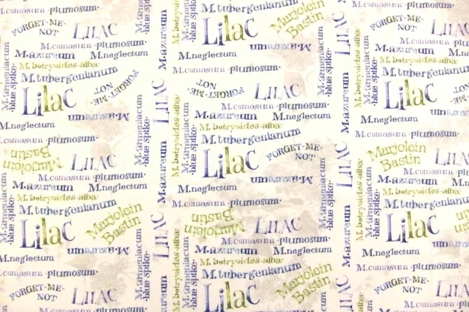 Cotton Broadcloth Print0