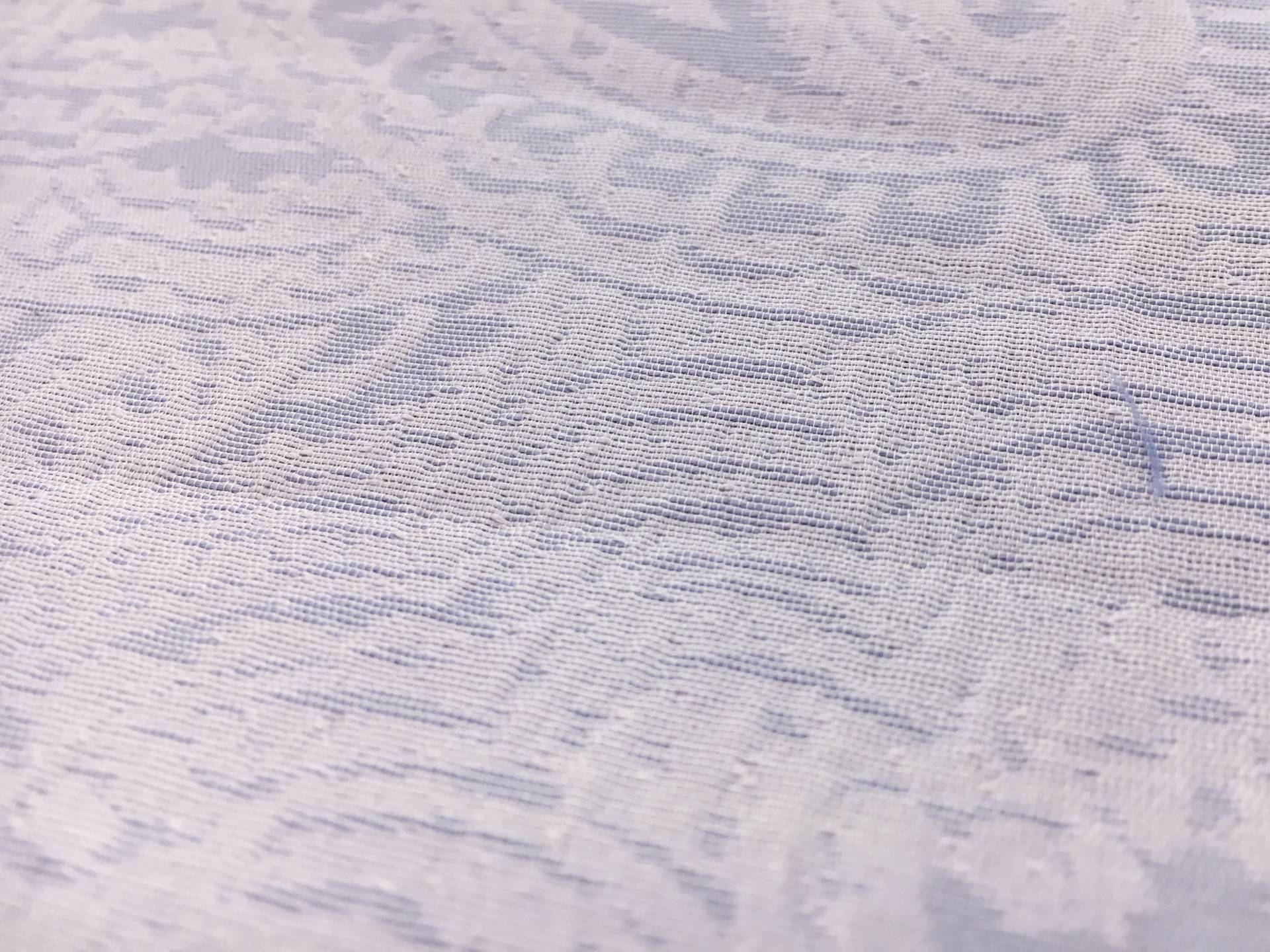 Indian Silk Brocade with Faint Paisley Patterns2