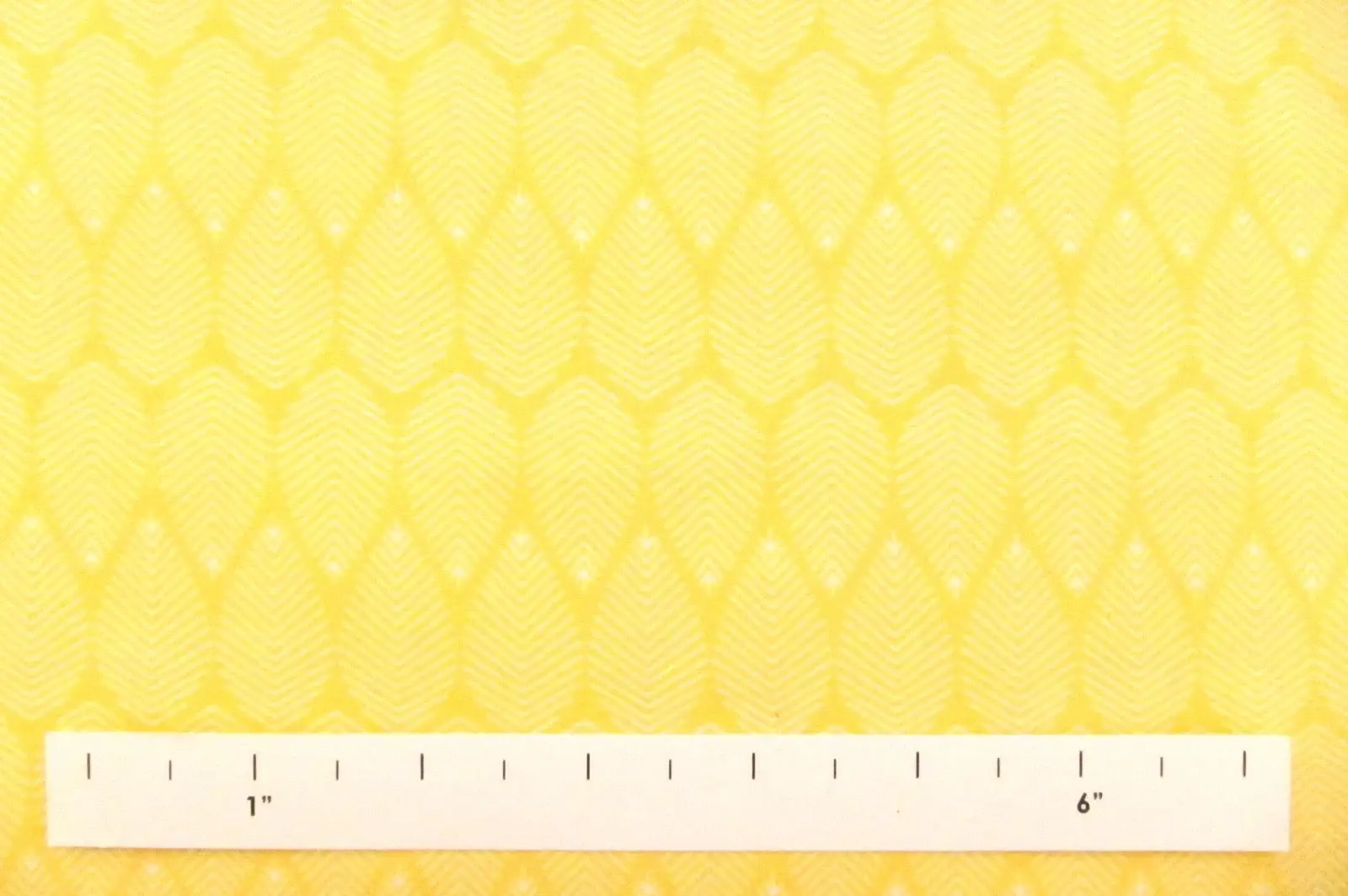 Cotton Broadcloth Print1