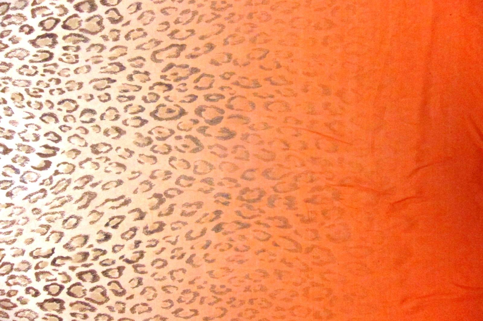 Printed Ombré Silk Chiffon Panel0