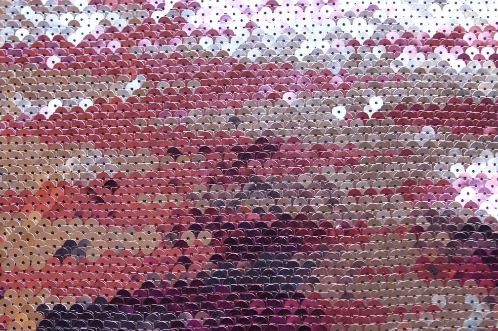 Sequins on Polyester2
