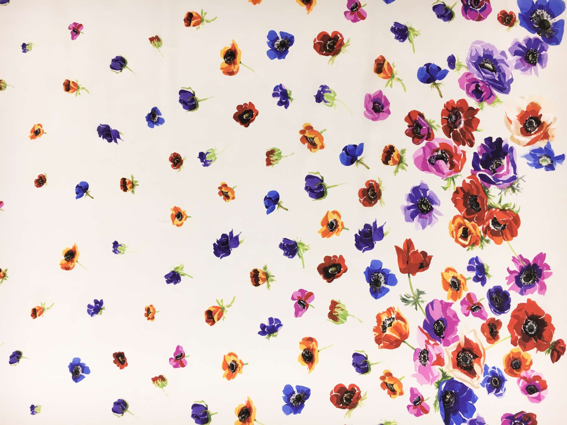 Printed Silk Satin Chiffon with Floral Degradé