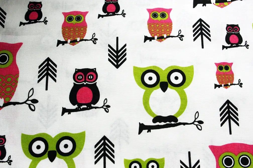 Printed Cotton Canvas2