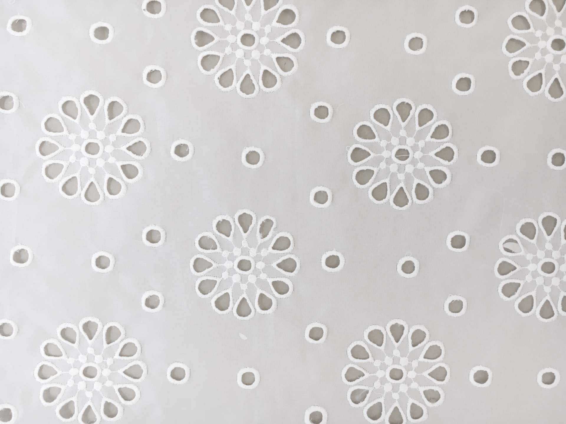 Silk Gazar Eyelet0