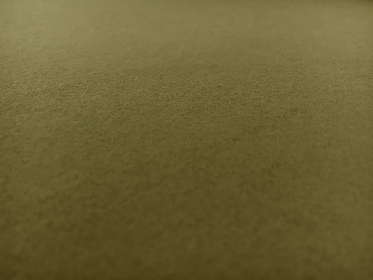 Cotton Flannel in Olive0
