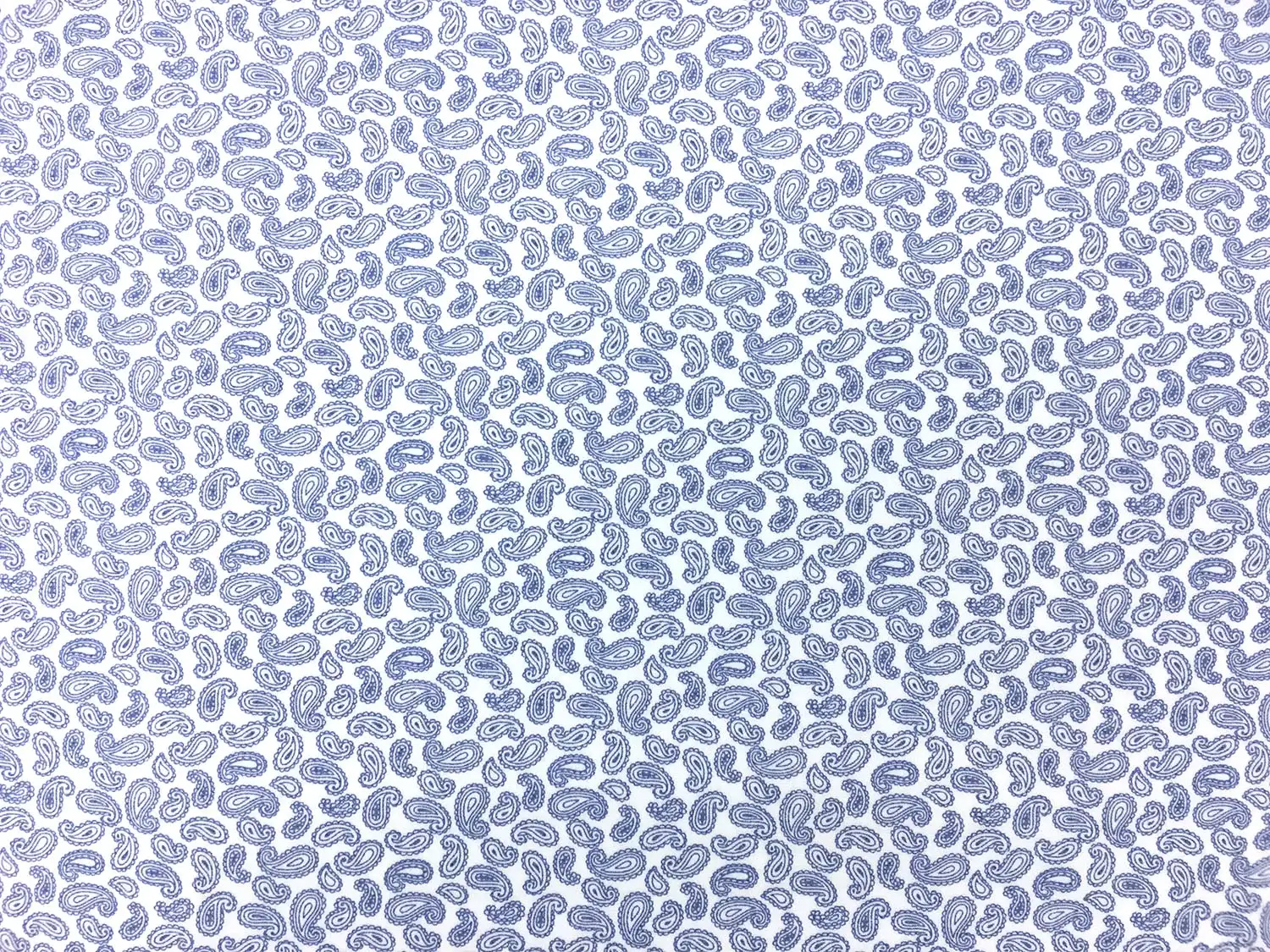 Cotton Broadcloth With Paisley Print in White And Blue 0