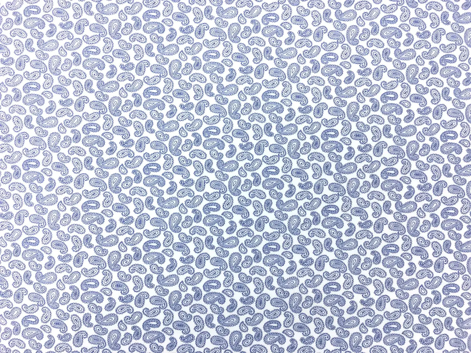 Cotton Broadcloth With Paisley Print in White And Blue 0