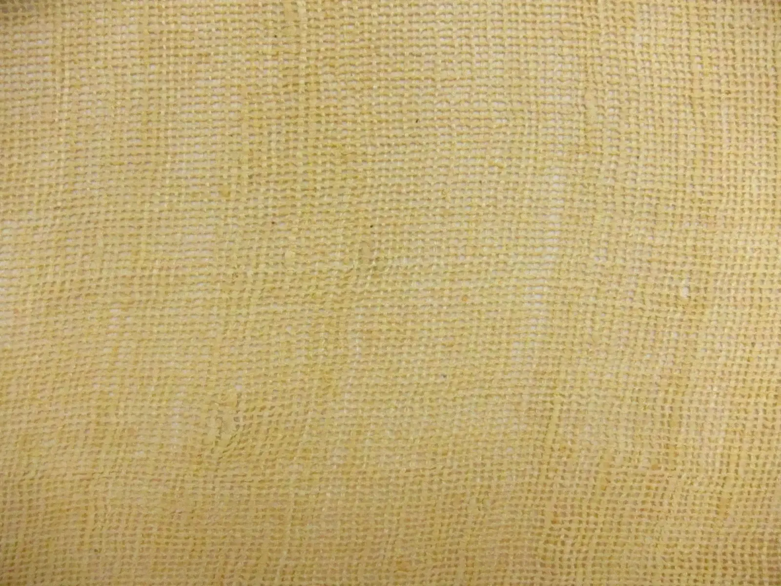 Silk Mesh0