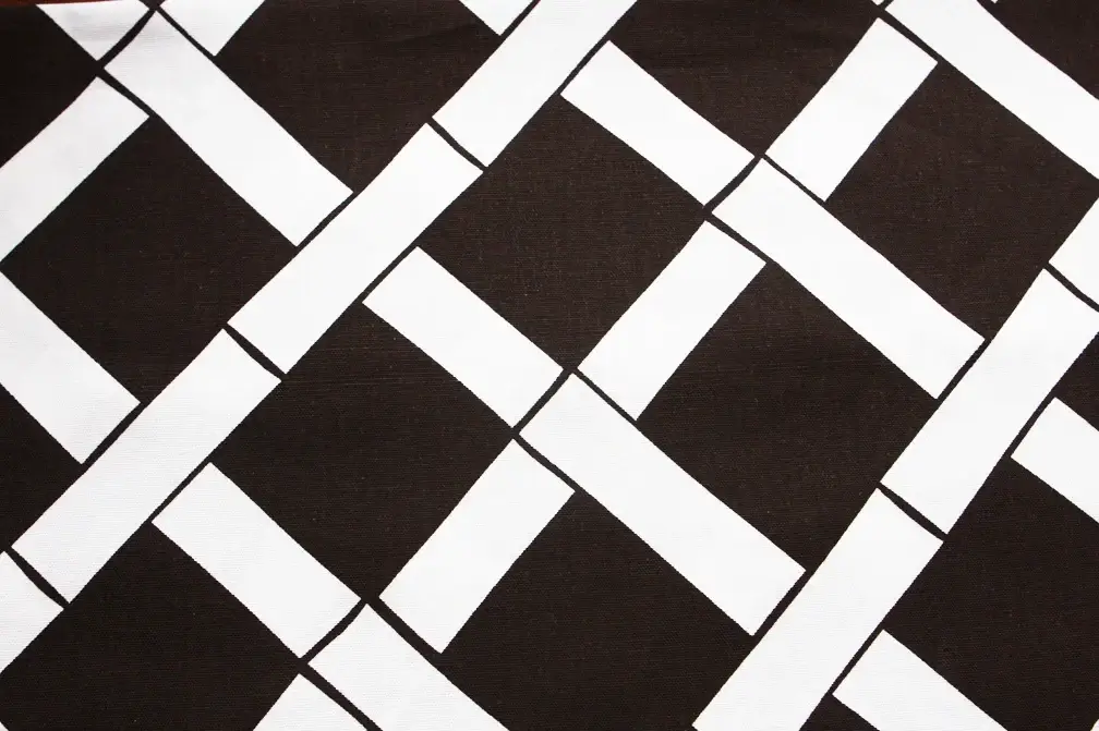Printed Cotton Canvas0