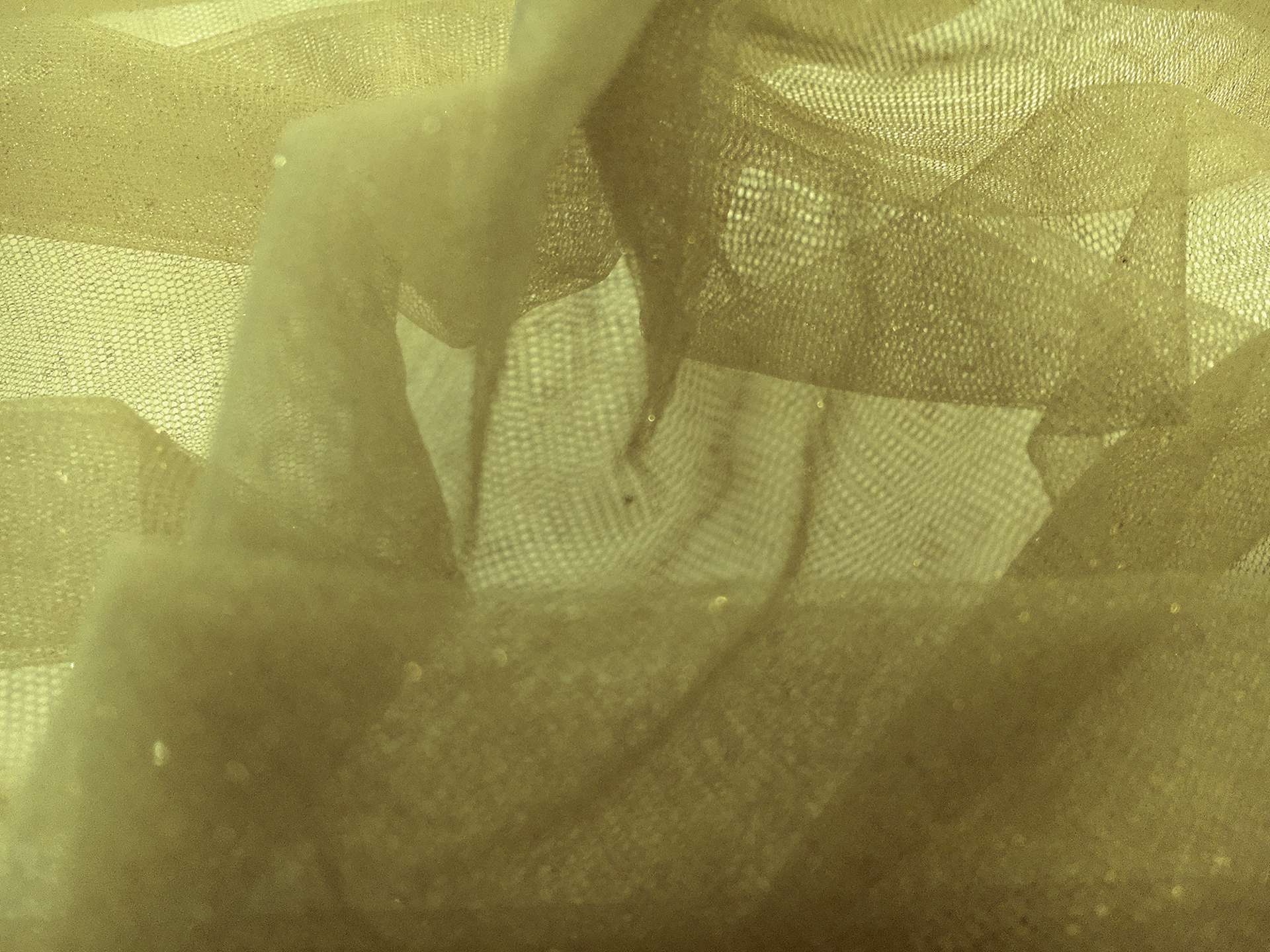 Metallic Nylon Tulle in Salvia and Gold