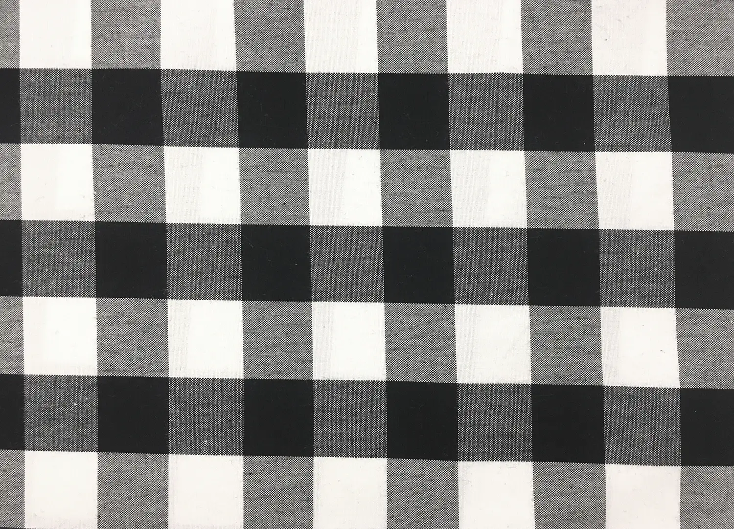 Carolina Cotton Gingham in Black0