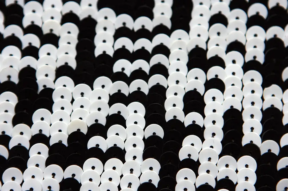 Sequins on Silk Chiffon3