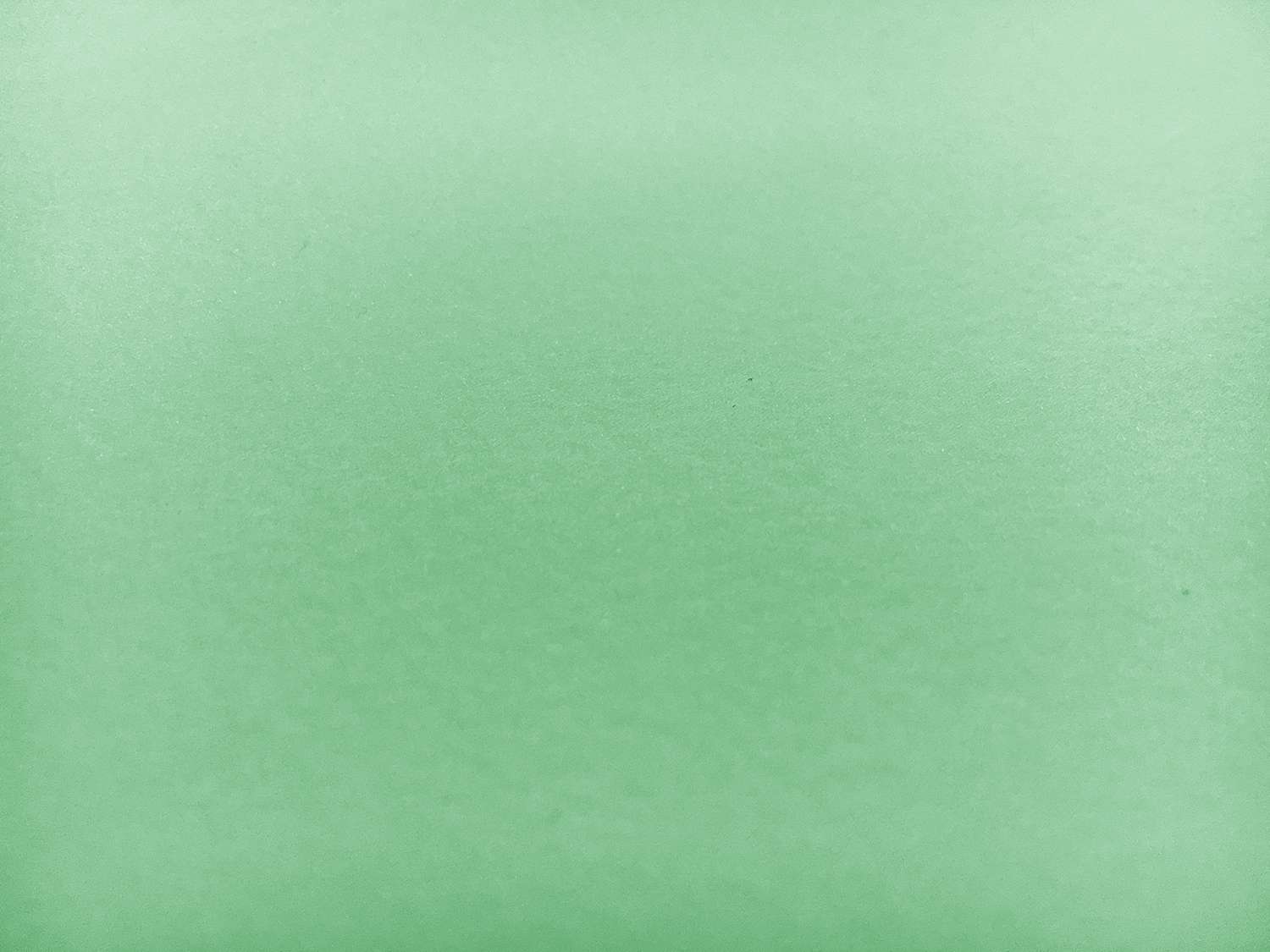 Japanese Pebbled Poly Organza in Mint0