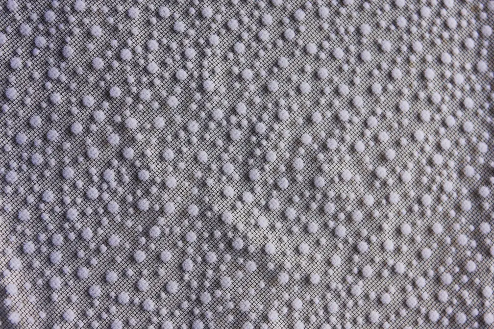 Flocking on Tulle0