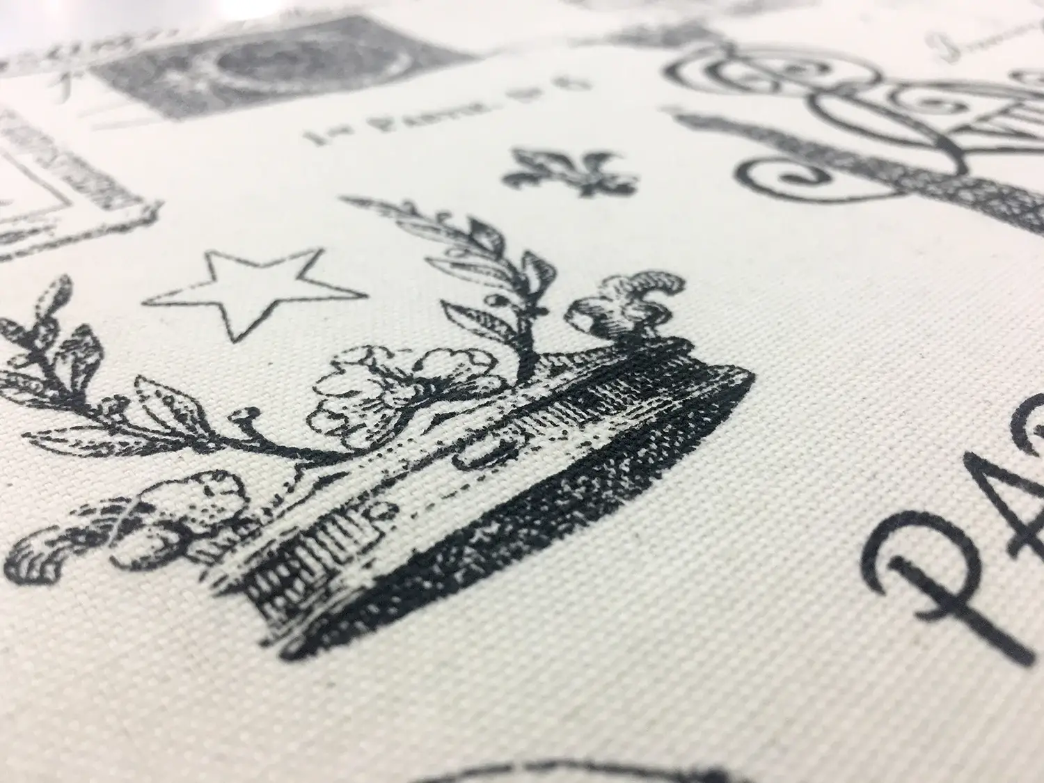 Cotton Canvas Parisian Print2