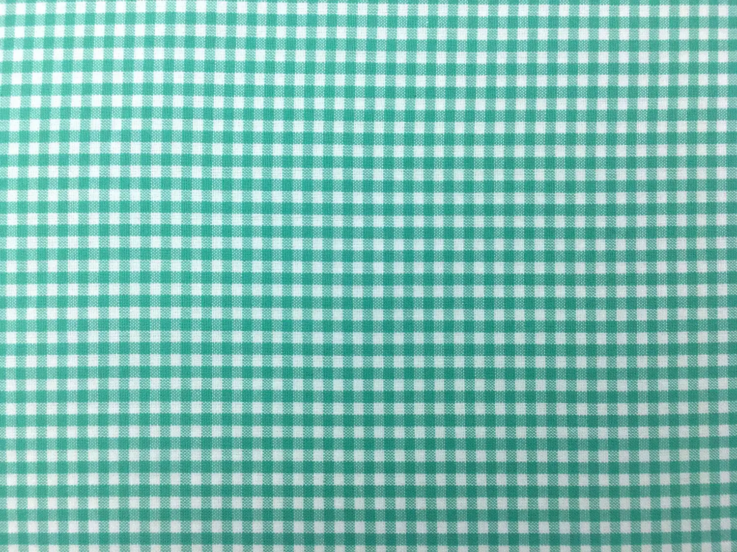 Carolina Cotton Gingham in Seafoam0