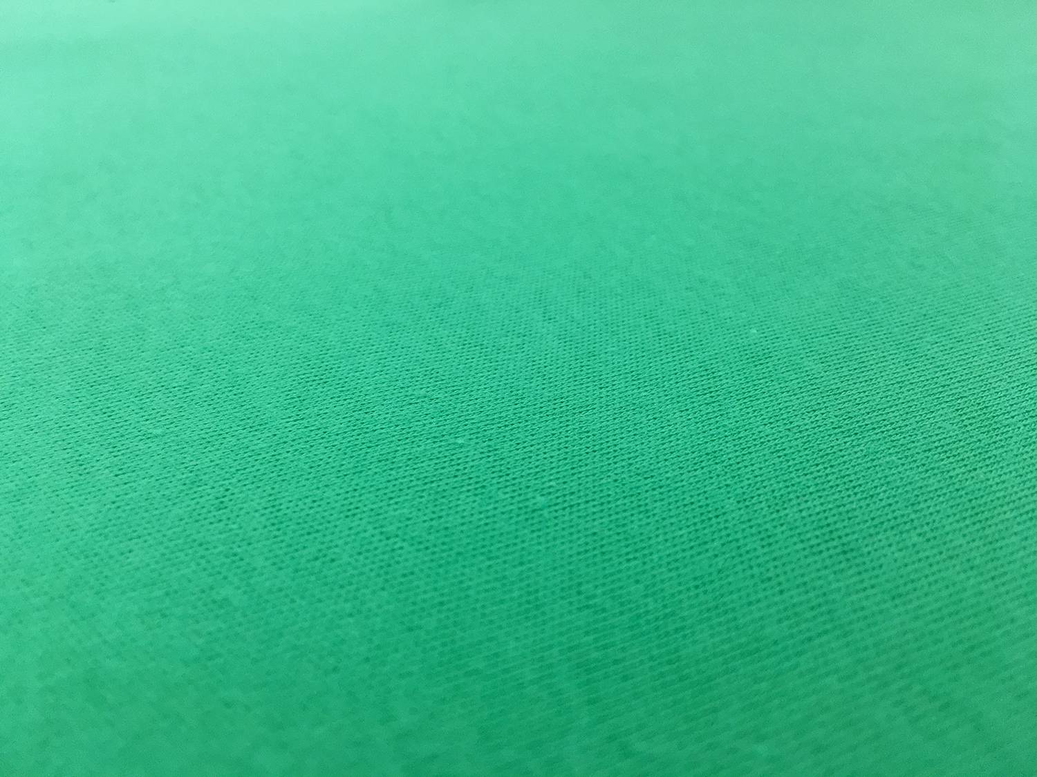 Catalina Cotton Jersey in Aloe0