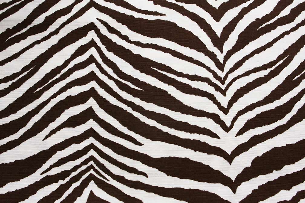 Cotton Canvas Zebra Print