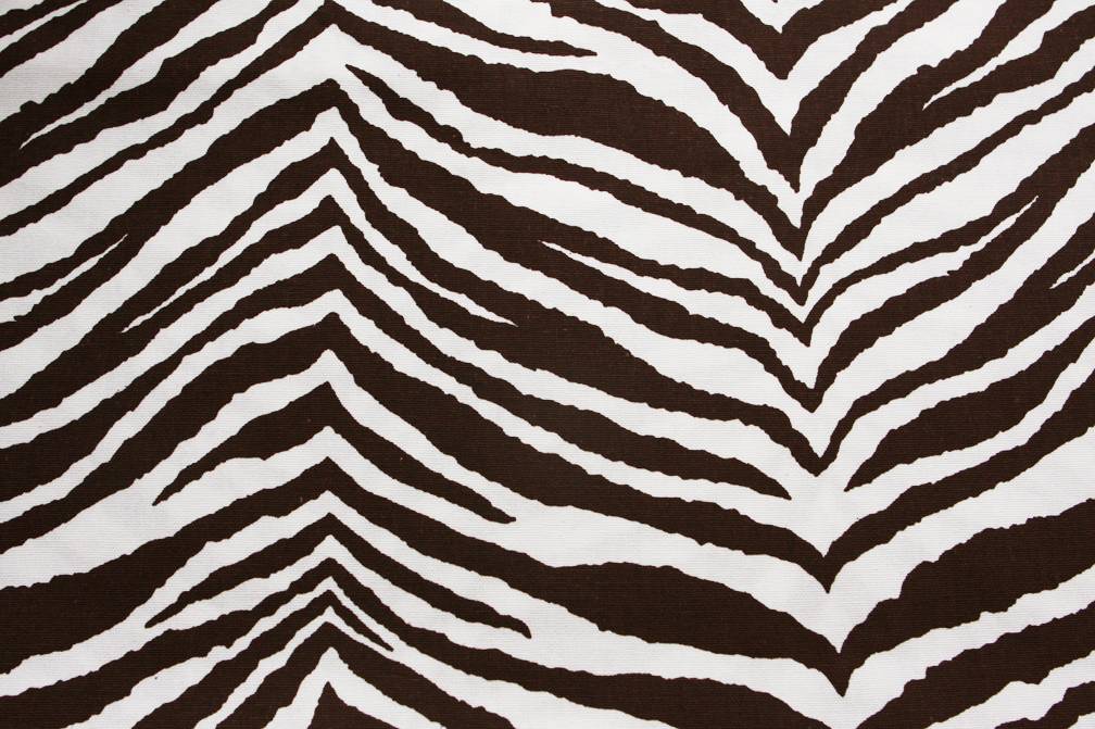 Printed Cotton Canvas0