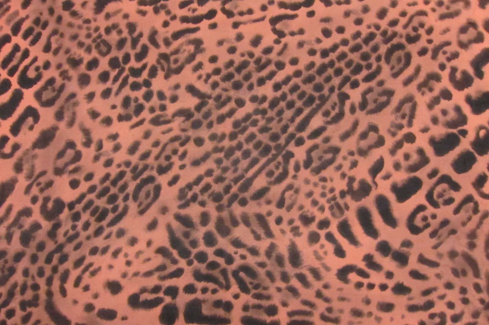 Printed Silk Chiffon0