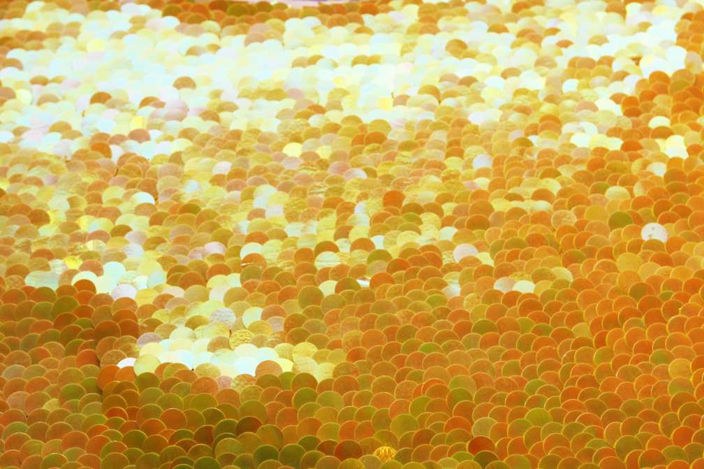 Paillettes on Silk Chiffon0