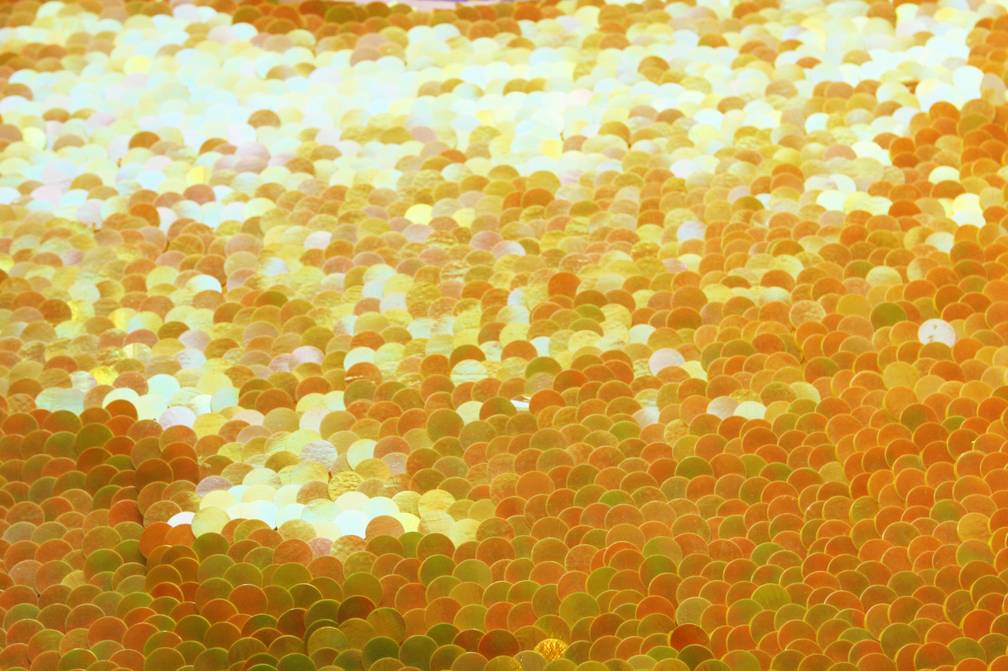 Paillettes on Silk Chiffon0