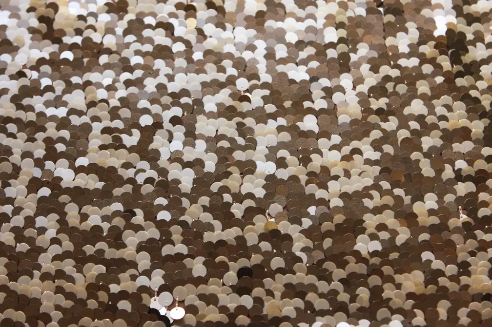 Novelty Paillettes on Silk Chiffon0