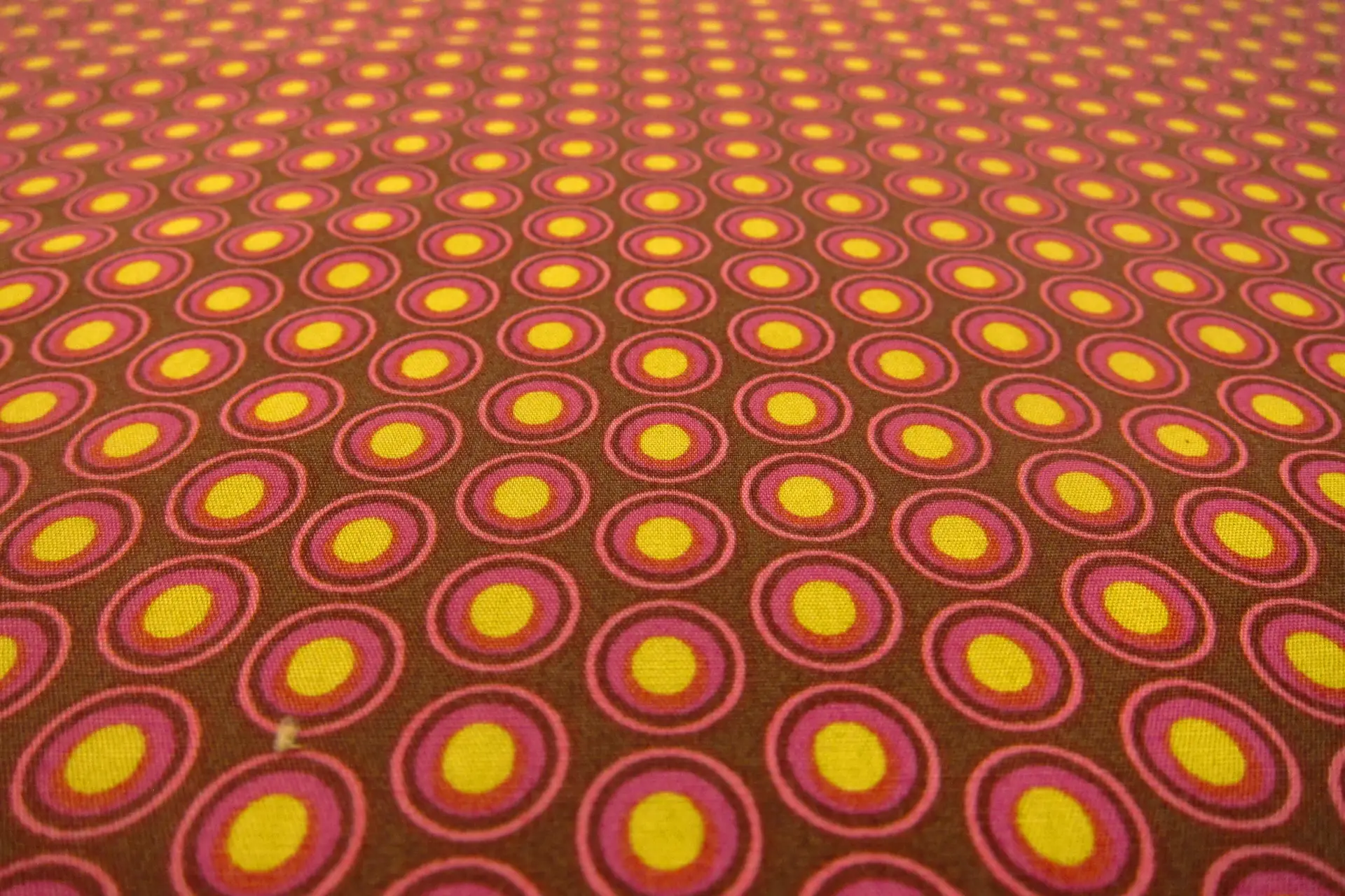 Cotton Broadcloth Print2