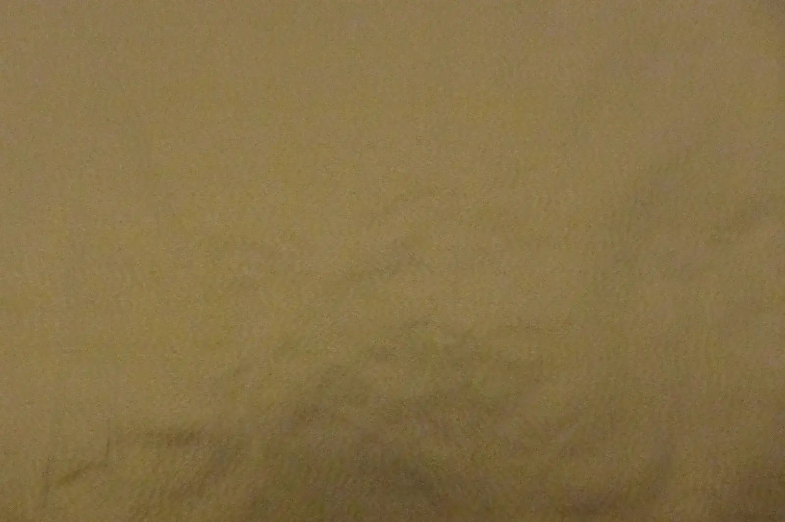 Iridescent Taffeta0