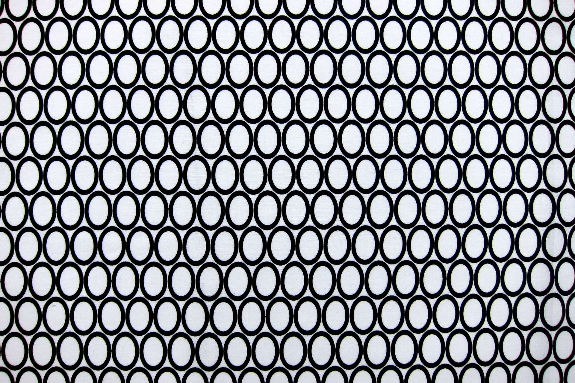 Cotton Broadcloth Print0