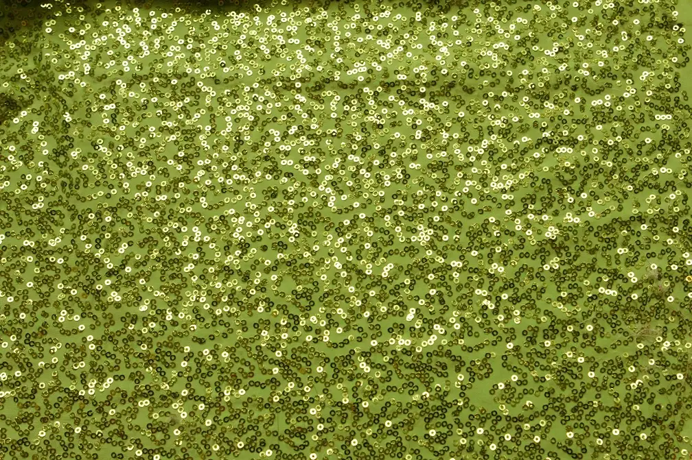 Sequined Jersey0