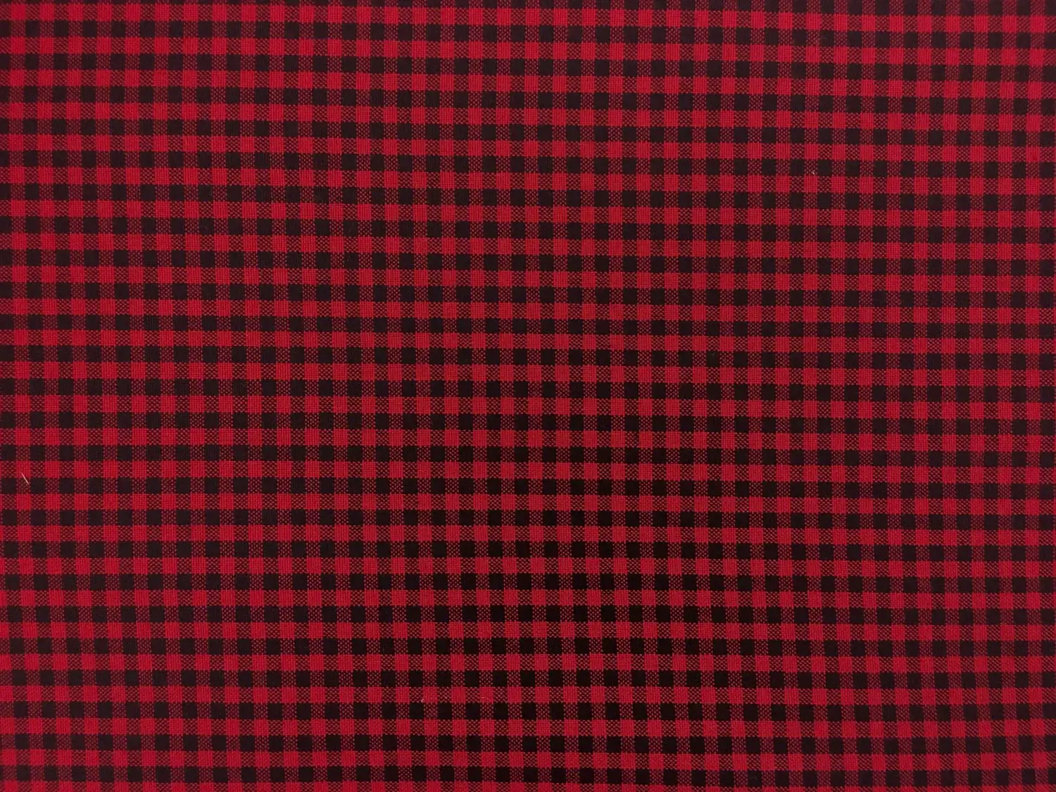 Carolina Cotton Gingham in Scarlet0