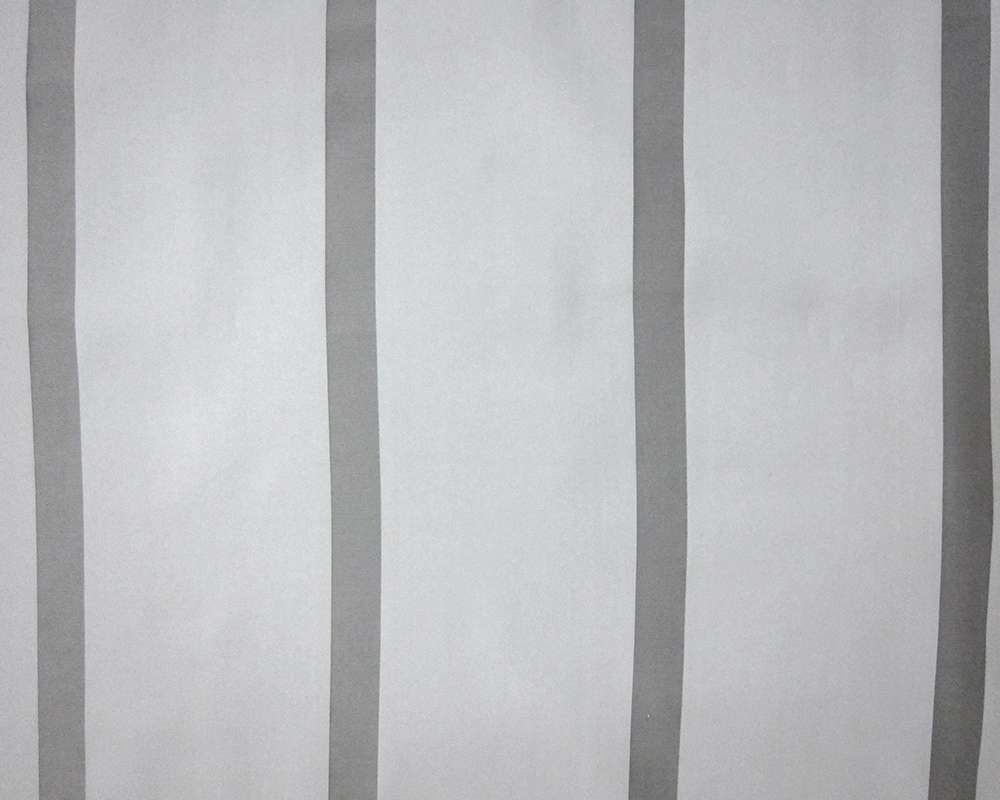 Silk Organza Satin Stripe0