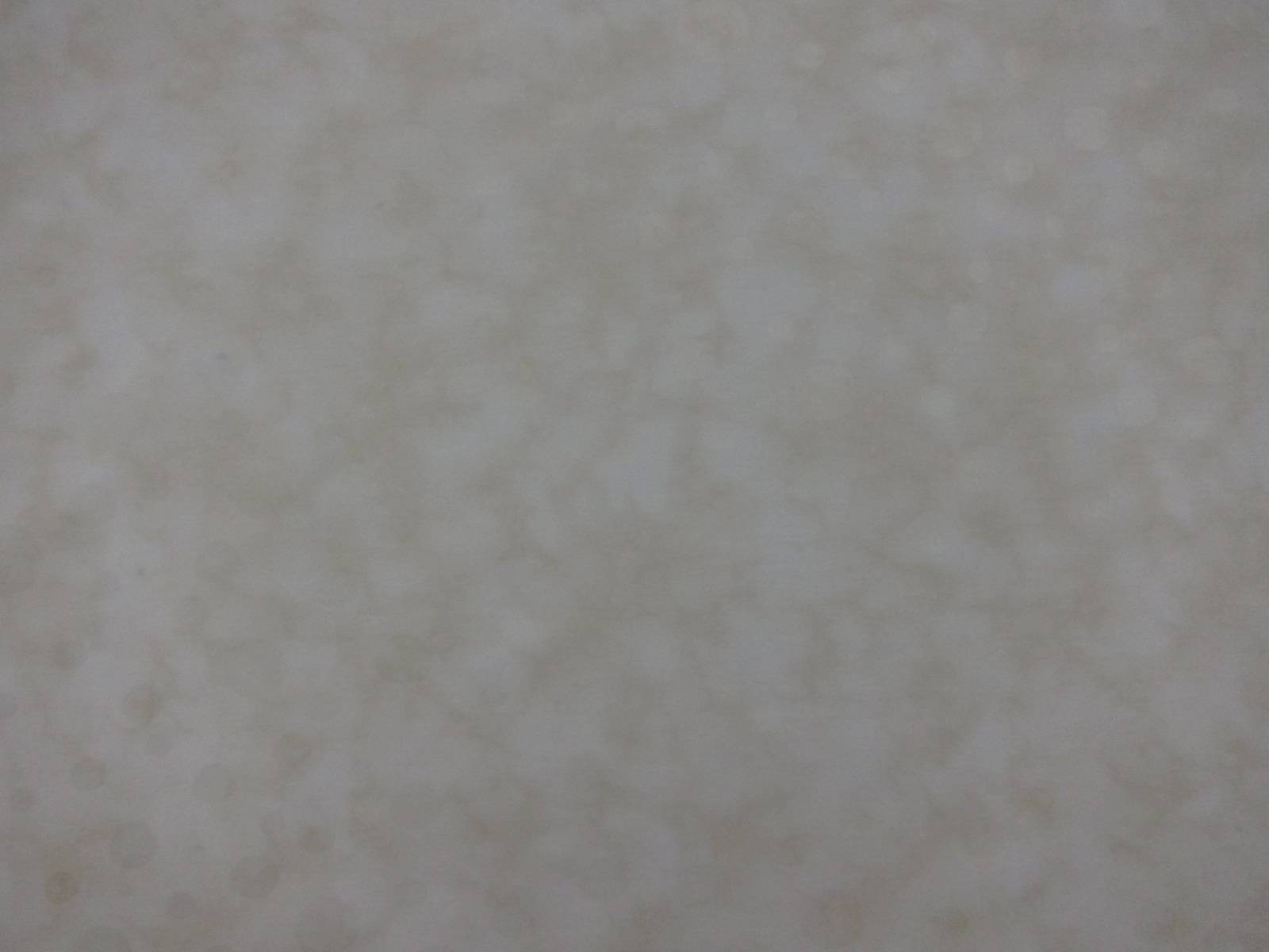 Cotton Broadcloth Print0