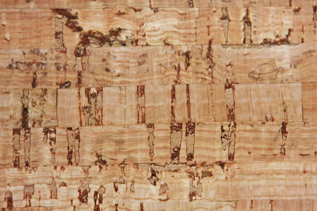 Cork2