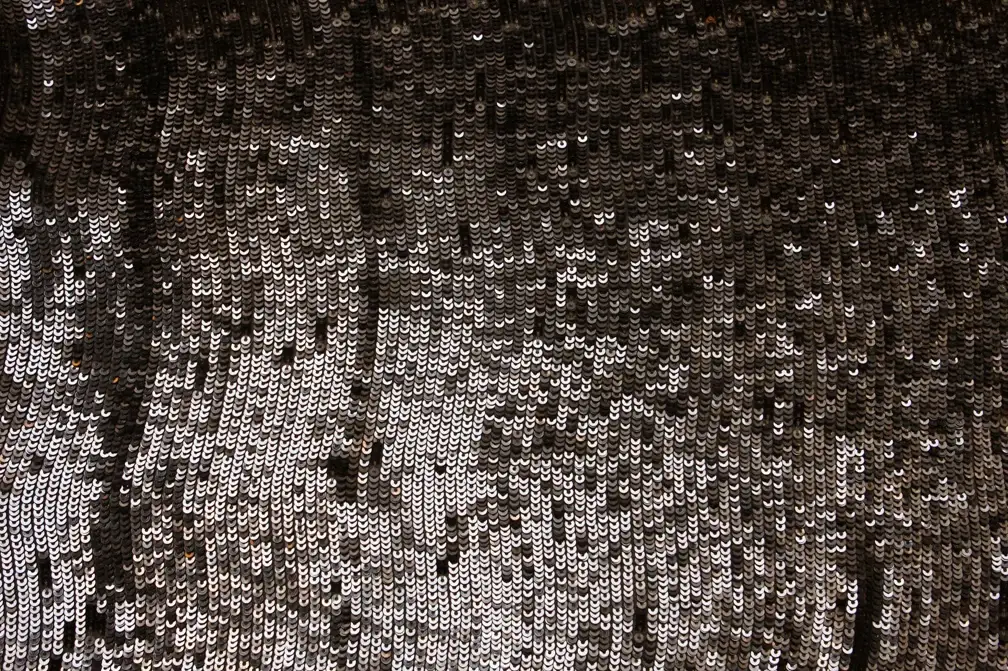 Sequins on Silk Chiffon0