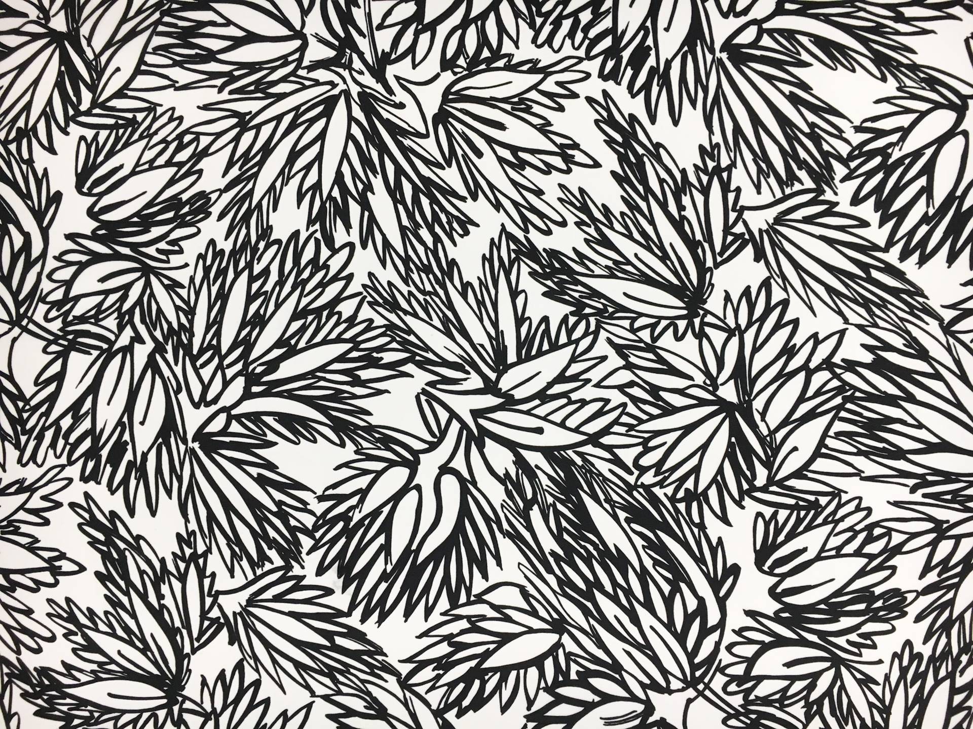 Printed Silk Gazar with Sketched Black and White Leaves0