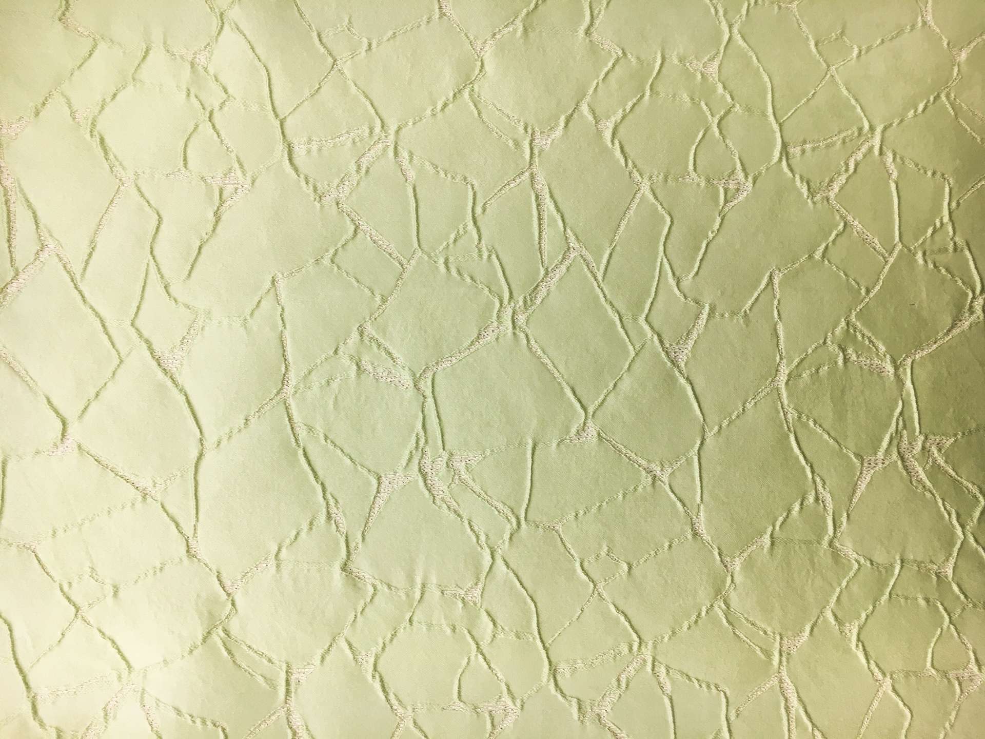 Silk and Polyester Blend Metallic Cloqué Brocade with Cracked Texture0