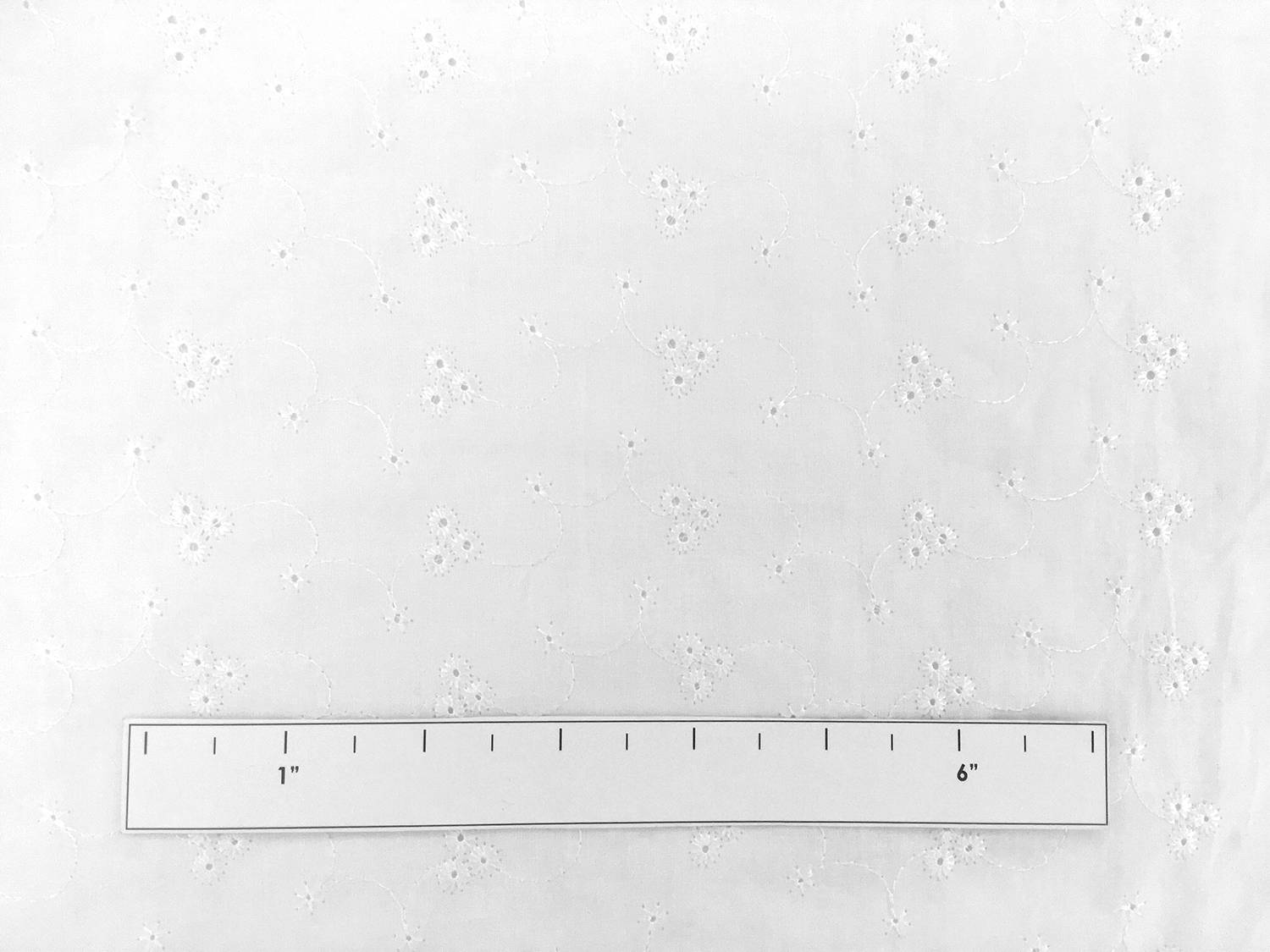 Cotton Eyelet with Embroidered Flowers in White1