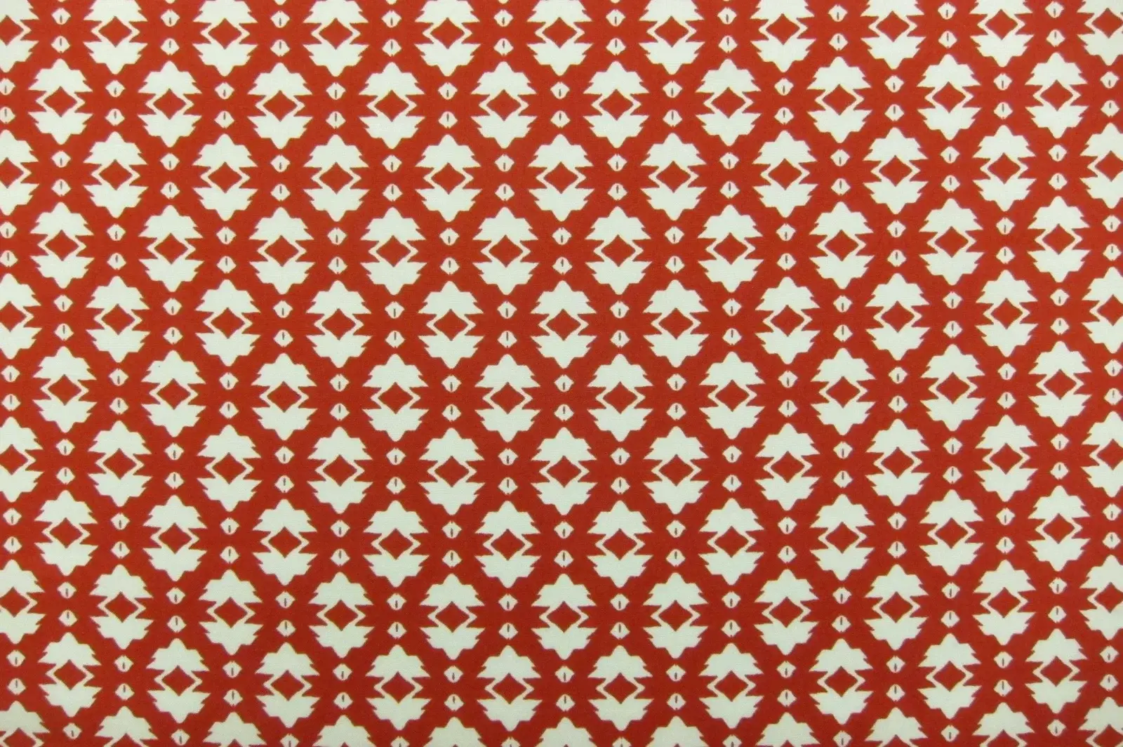 Cotton Broadcloth Print0