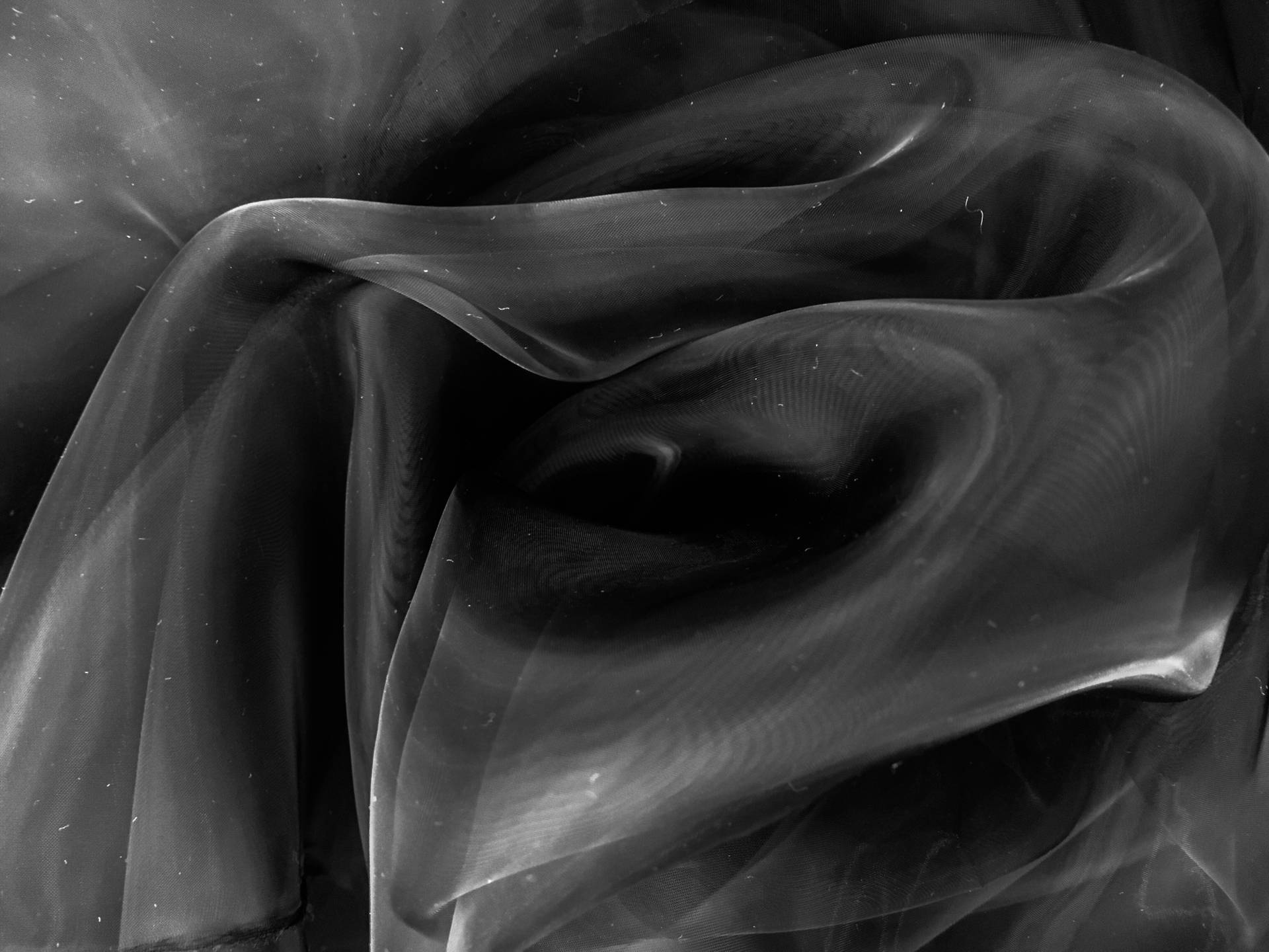 Japanese Ultra Sheer Onion Skin Organza in Black0